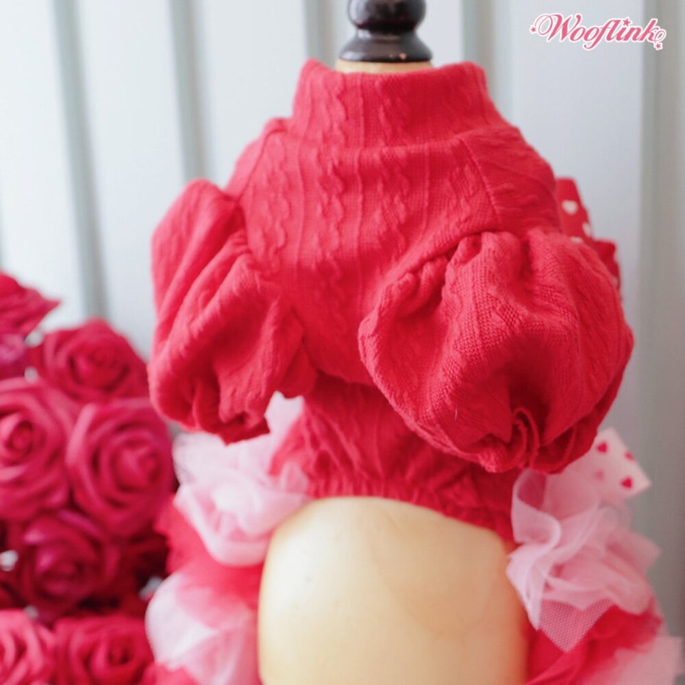 Someone Special Dress by Wooflink - NEW SIZE 3 - Picture 4 of 6